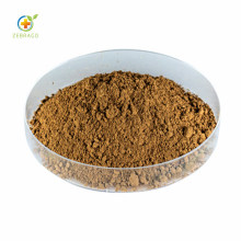 Top Quality Momordica Charantia Extract Powder Polysaccharide